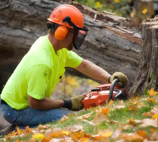 tree services Longville